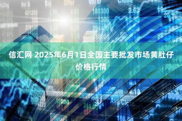 信汇网 2025年6月1日全国主要批发市场黄肚仔价格行情
