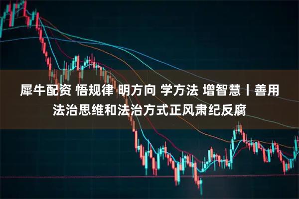 犀牛配资 悟规律 明方向 学方法 增智慧丨善用法治思维和法治方式正风肃纪反腐