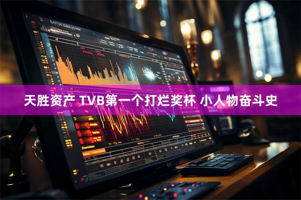 天胜资产 TVB第一个打烂奖杯 小人物奋斗史