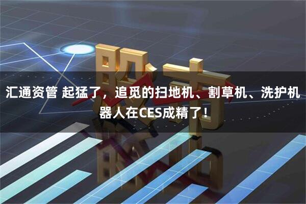 汇通资管 起猛了，追觅的扫地机、割草机、洗护机器人在CES成精了！