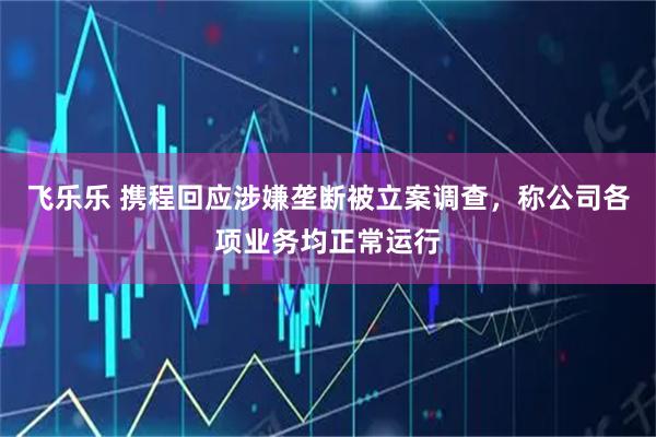 飞乐乐 携程回应涉嫌垄断被立案调查，称公司各项业务均正常运行